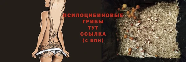 таблы Дмитровск