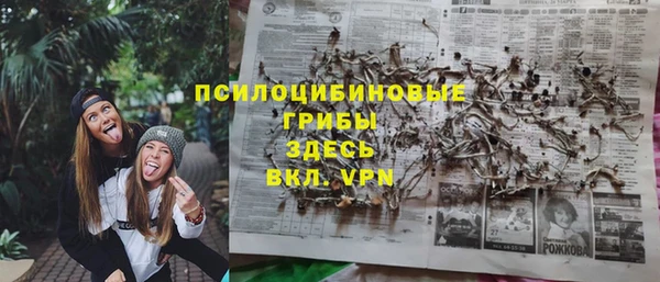 таблы Дмитровск
