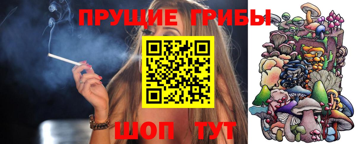 Галлюциногенные грибы MAGIC MUSHROOMS Чебоксары